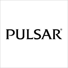 Pulsar Watch
