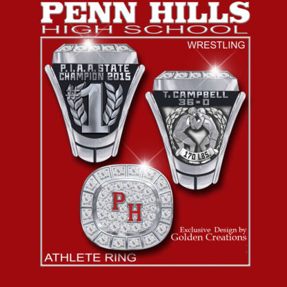 Wrestling Championship Ring